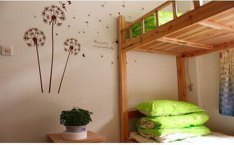 Backyard Youth Hostel Xiamen Oda fotoğraf